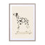 Pandc Dalmation Wall Art - Drawdeck
