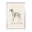 Pandc Dalmation Wall Art - Drawdeck