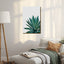 Agave Cactus