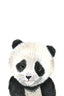 Baby Panda - Drawdeck