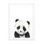 Baby Panda Wall Art - Drawdeck