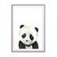 Baby Panda Wall Art - Drawdeck