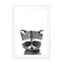 Baby Raccoon Wall Art - Drawdeck