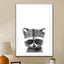 Baby Raccoon - Drawdeck