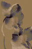 Bloom in Soft Waters II