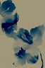 Blue Blooms in Soft Waters 2