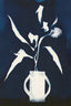 Cyanotype Still Life Studies #5