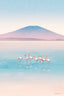 Flamingo Lake