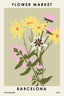 Flower Market Barcelona - Drawdeck
