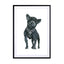Frenchie Fashion Dog Wall Art - Drawdeck
