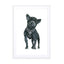 Frenchie Fashion Dog Wall Art - Drawdeck