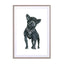 Frenchie Fashion Dog Wall Art - Drawdeck