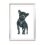 Frenchie Fashion Dog Wall Art - Drawdeck