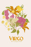 Jlr Virgo - Drawdeck