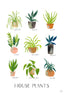 House plants