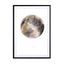 La Lune Wall Art - Drawdeck