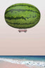 Melon Ship