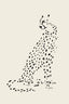 Pandc Leopard - Drawdeck