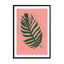 Philodendron Wall Art - Drawdeck