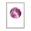 Pink Moon Wall Art - Drawdeck