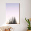 Purple sunset with a palm tree