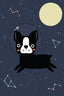 Boston Terrier In Space