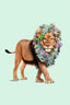 Succulent Lion