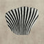 Sea shell