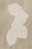 Sea shells 02