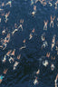 Swimmers - Drawdeck
