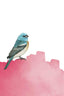 Bird On Pink