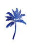 Blue Palm Tree