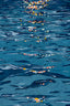 The Sea