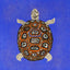 Turtle blue