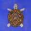Turtle blue