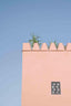 Wall window plant in Marrakech - Drawdeck