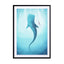 Whale Shark Wall Art - Drawdeck