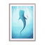 Whale Shark Wall Art - Drawdeck