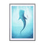 Whale Shark - Drawdeck