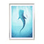 Whale Shark Wall Art - Drawdeck