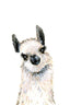 Baby Llama