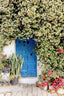 Blue Door With Many Flowers 1