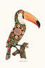 Boho Toucan