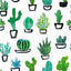 Cacti