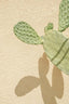 Cactus Shadow play