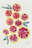 Sliced Grapefruits Watercolor