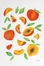 Watercolor Peaches