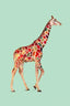 Coloured Giraffe