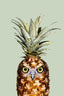 Pineapple Owl