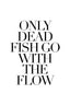 Only Dead Fish go with the flow